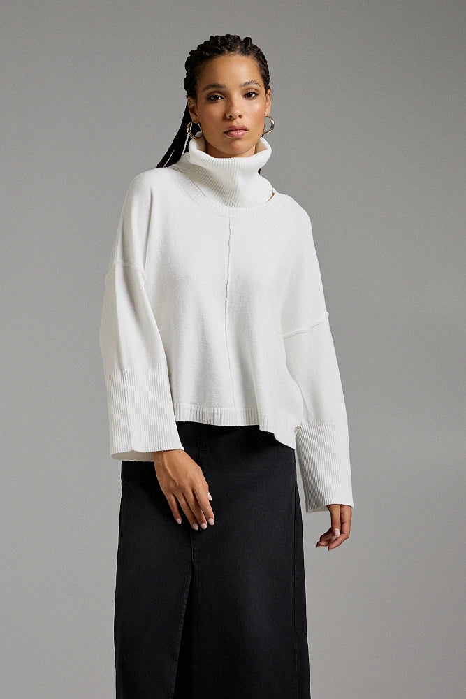 Pull col roulé amovible BSB