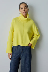 Pull col roulé amovible BSB