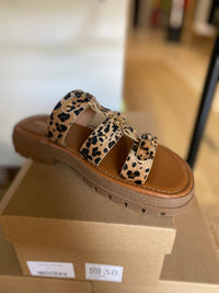 Sandales mules léopard SOLEIL - Findlay